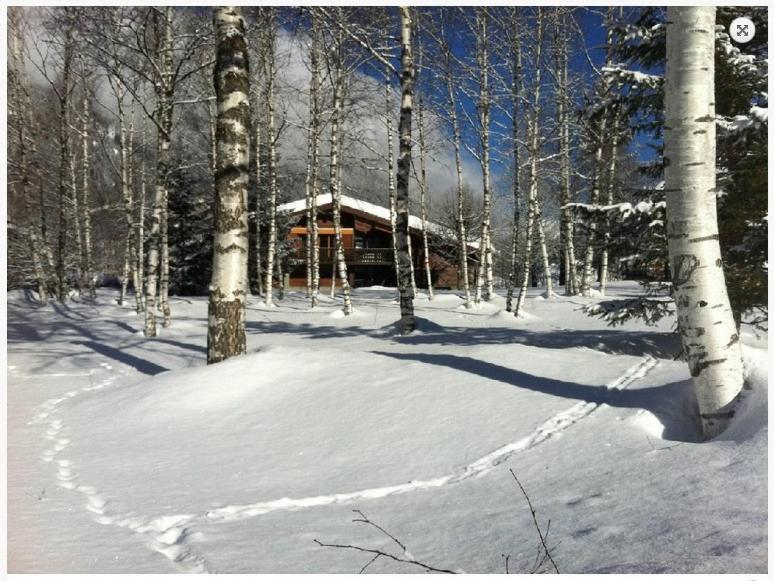 Chalet Champraz - Free Parking Chamonix Buitenkant foto