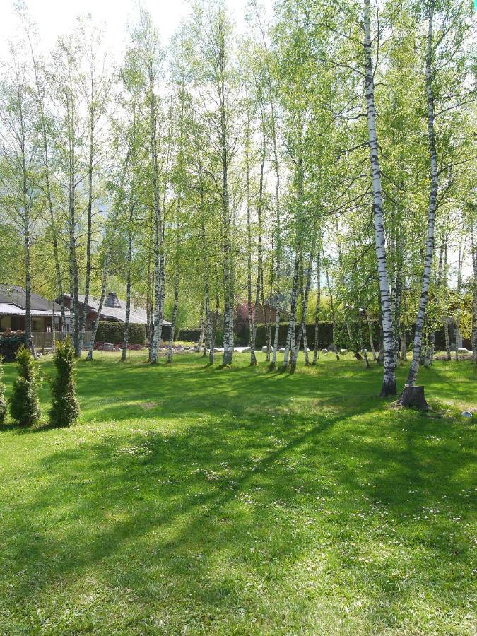 Chalet Champraz - Free Parking Chamonix Buitenkant foto