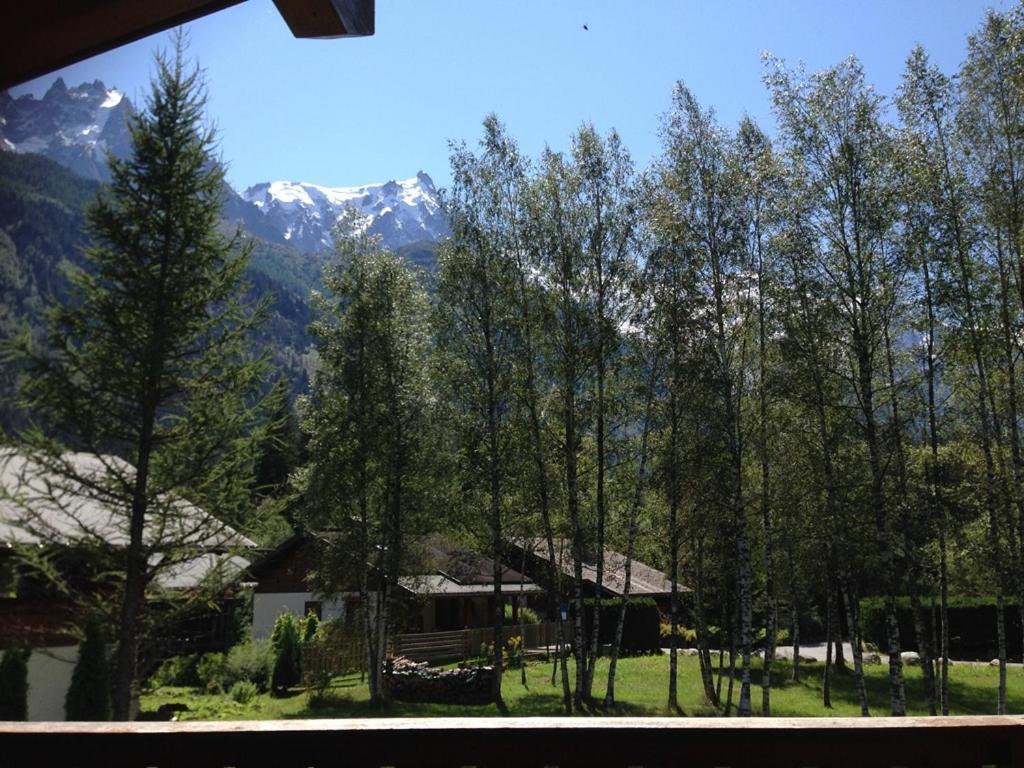 Chalet Champraz - Free Parking Chamonix Buitenkant foto