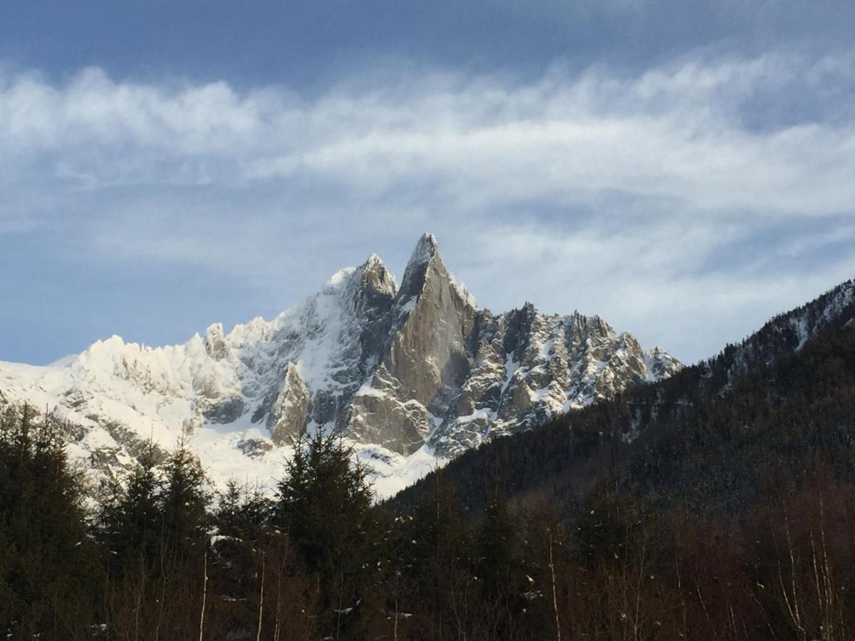Chalet Champraz - Free Parking Chamonix Buitenkant foto