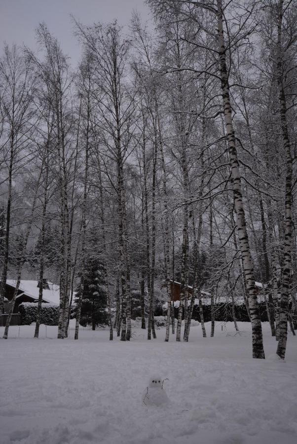 Chalet Champraz - Free Parking Chamonix Buitenkant foto
